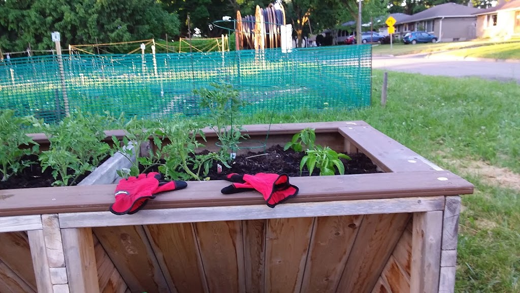 Glen Community Garden | King Edward Ave, London, ON N5Z 3A8, Canada | Phone: (519) 719-5923