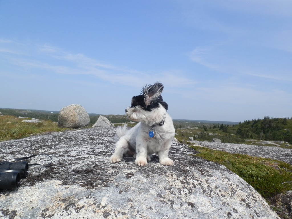 Polly Cove Hiking Trail | Prospect Rd, Halifax, NS B3Z 3S3, Canada | Phone: (902) 718-7478