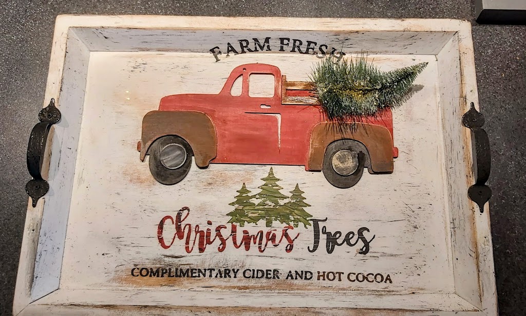 SHE SHED SHOP | 7214 Northumberland County Rd 18, Alnwick/Haldimand, ON K0K 2X0, Canada | Phone: (905) 691-5195