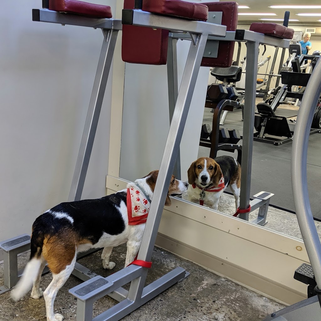 Freya & Co Fitness | 103 Cheryl St E, Pembroke, ON K8A 7N3, Canada | Phone: (613) 281-7088