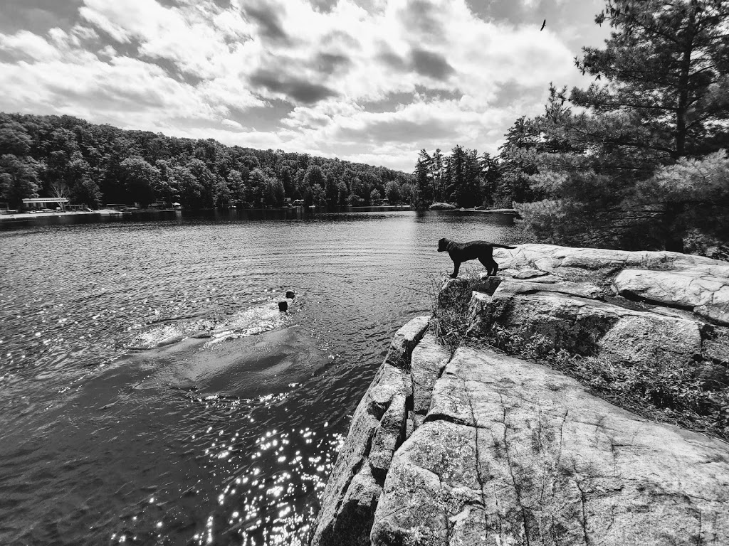 Strickers Burleigh Beach Resort | 3340 Strickers Ln, Lakefield, ON K0L 2H0, Canada | Phone: (705) 654-3547
