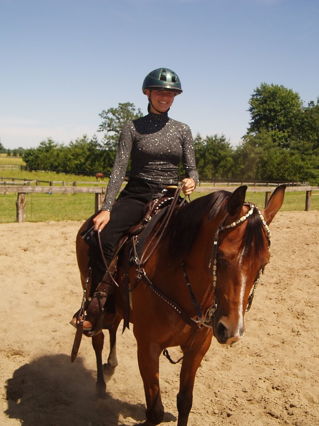 Symphony Stables | 778 County Rd 37, Wheatley, ON N0P 2P0, Canada | Phone: (519) 825-9708