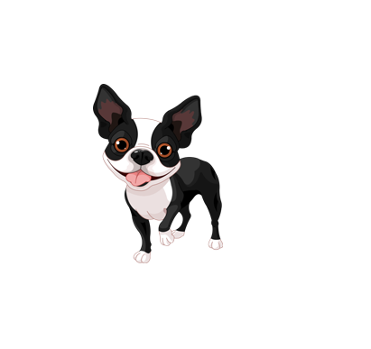 All Seasons Kennels | 557 Rymal Rd E, Hamilton, ON L8W 1B4, Canada | Phone: (905) 385-9144