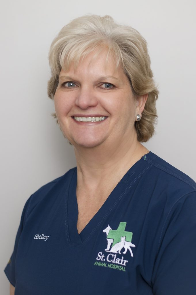 St Clair Animal Hospital | 217 Hill St, Corunna, ON N0N 1G0, Canada | Phone: (519) 813-9116