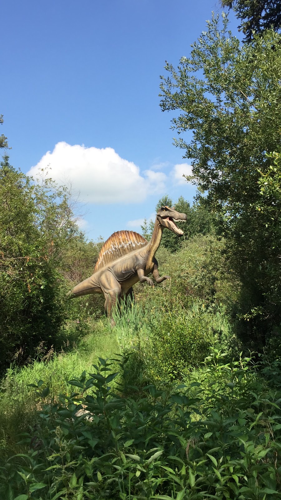 Jurassic Forest | 23210 Township Road 564 #2, Gibbons, AB T0A 1N0, Canada | Phone: (780) 470-2446