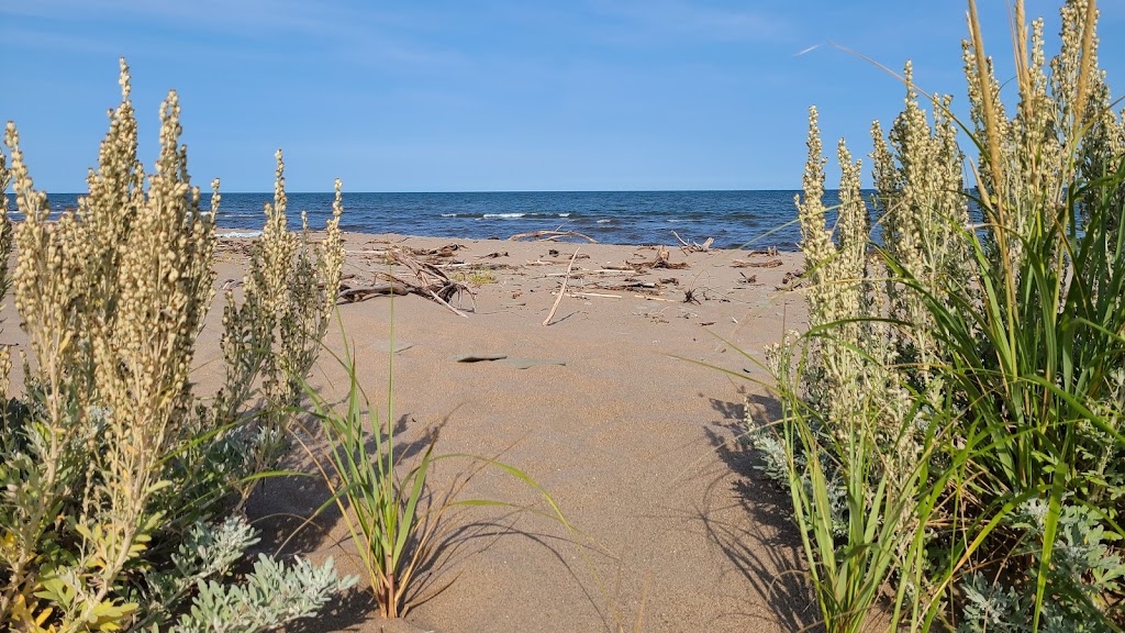 Camping De La Dune | 490 Val Comeau Rd, Val-Comeau, NB E1X 1J6, Canada | Phone: (506) 395-9148