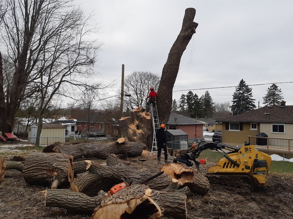 Eco Tree Care | 2375 ON-15, Kingston, ON K7L 4V3, Canada | Phone: (613) 531-8733