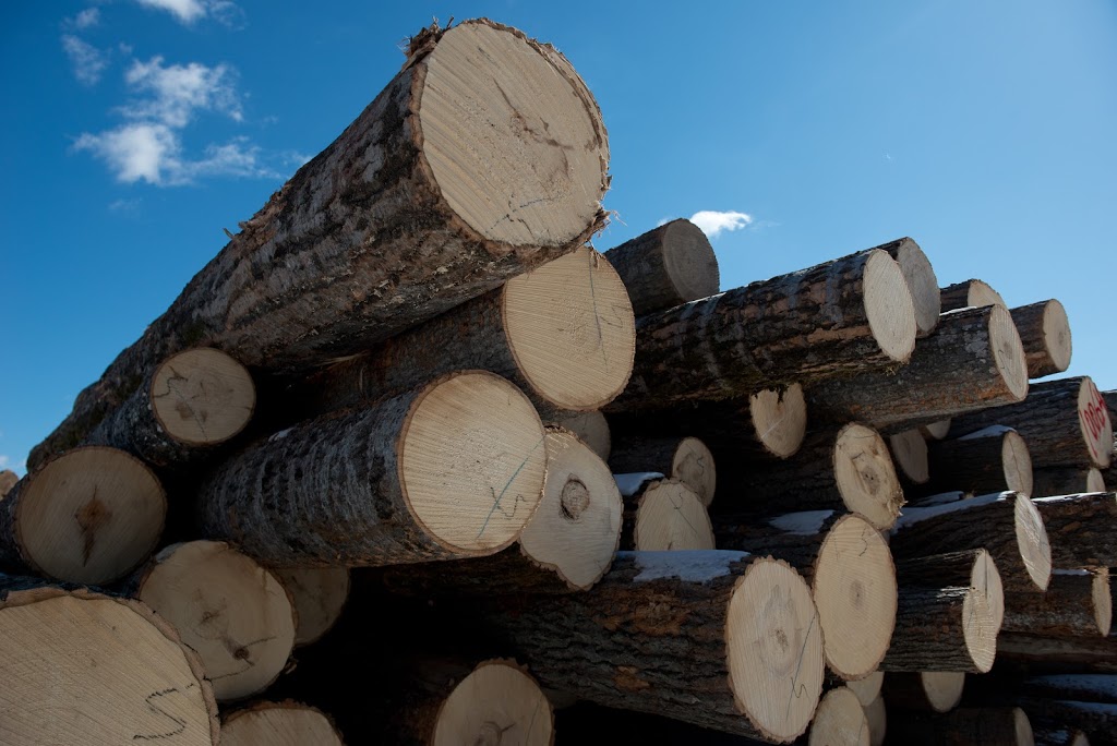 Chisholm Lumber | 3685 Shannonville Rd, Roslin, ON K0K 2Y0, Canada | Phone: (613) 477-2920