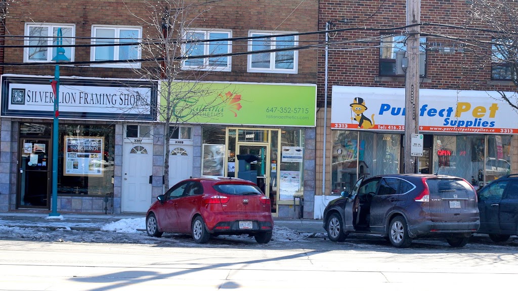 Silver Lion Framing Shop | 3305 Lake Shore Blvd W, Etobicoke, ON M8W 1M8, Canada | Phone: (416) 535-9366