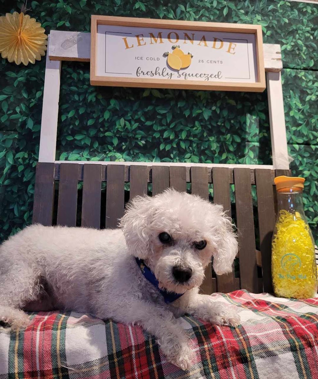 The Pup Hut Pet Salon | 99 McGregor Brook Rd, Roachville, NB E4G 2G2, Canada | Phone: (506) 567-3584