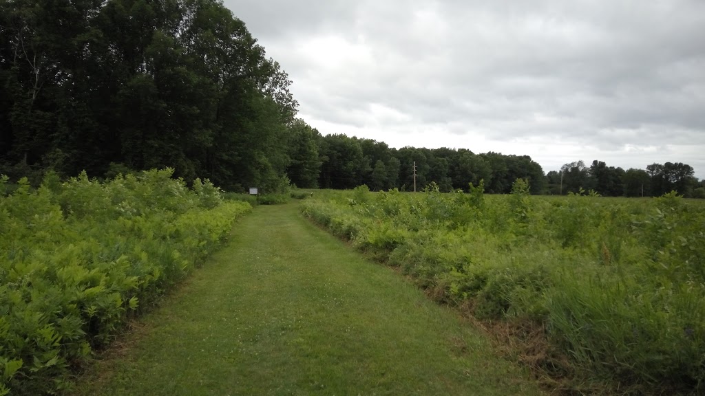 Missisquoi National Wildlife Refuge Admin Building And Visitor C | 29 Tabor Rd, Swanton, VT 05488, USA | Phone: (802) 868-4781