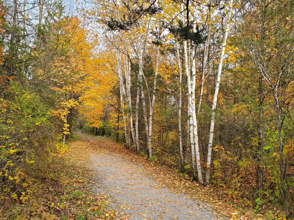 Bleasdell Boulder Conservation Area | Trenton, Quinte West, ON K8V 5P6, Canada | Phone: (613) 394-4829