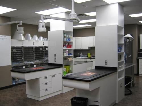 Gateway Pet Hospital Kitchener | 4391 King St E, Kitchener, ON N2P 2G1, Canada | Phone: (519) 653-1003