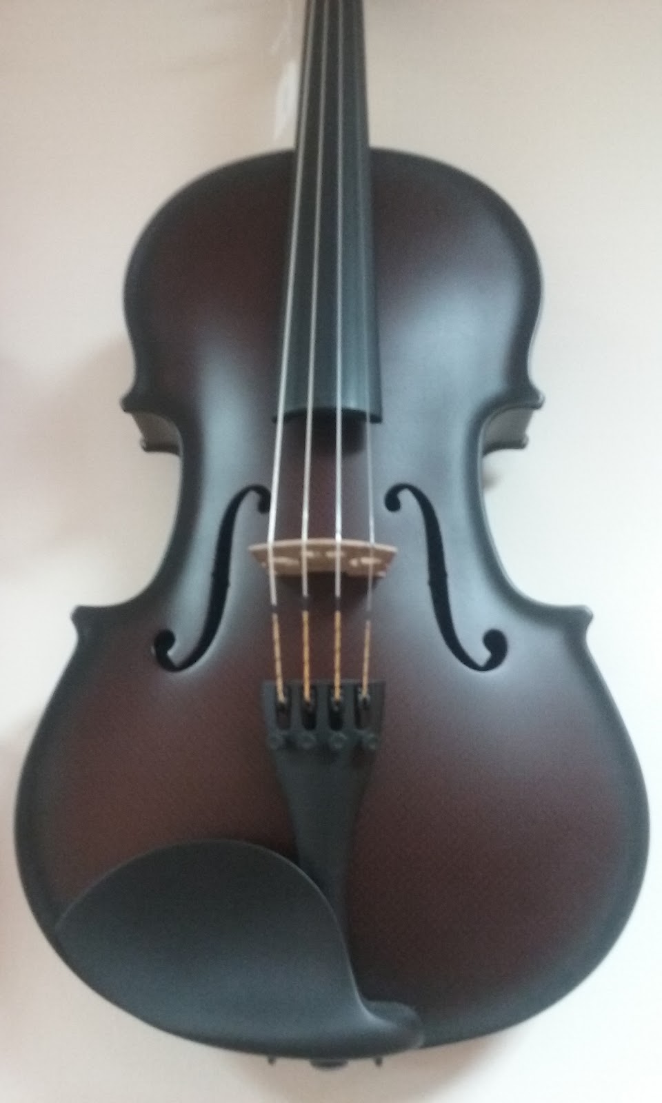 Monacos Violin Shop | 55 Crosspoint Pkwy, Getzville, NY 14068, USA | Phone: (716) 688-8600