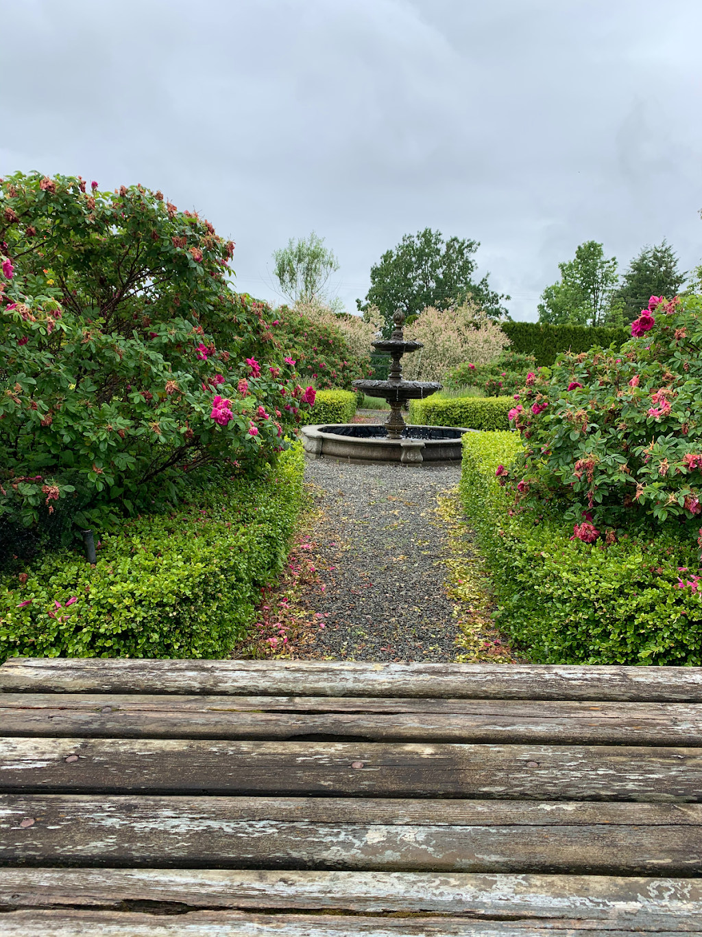 Full Bloom Lavender Farm | 2926 248 St, Langley City, BC V4W 2R2, Canada | Phone: (778) 955-5871
