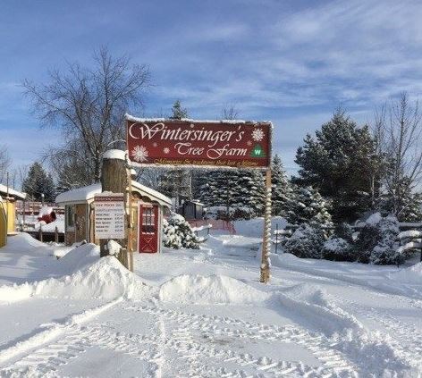 Wintersingers Christmas Tree Farm | 5837 3 Line, Hillsburgh, ON N0B 1Z0, Canada | Phone: (519) 855-6163