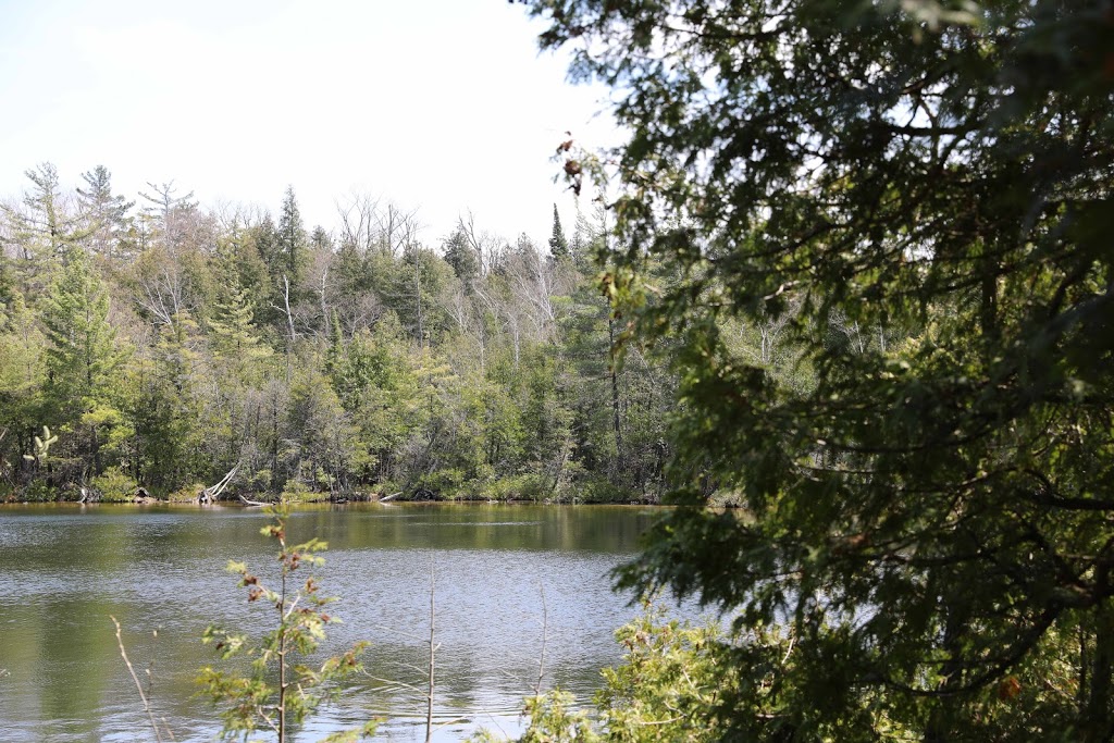 Crawford Lake Conservation Area | 3115 Conservation Rd, Milton, ON L9T 2X3, Canada | Phone: (905) 854-0234