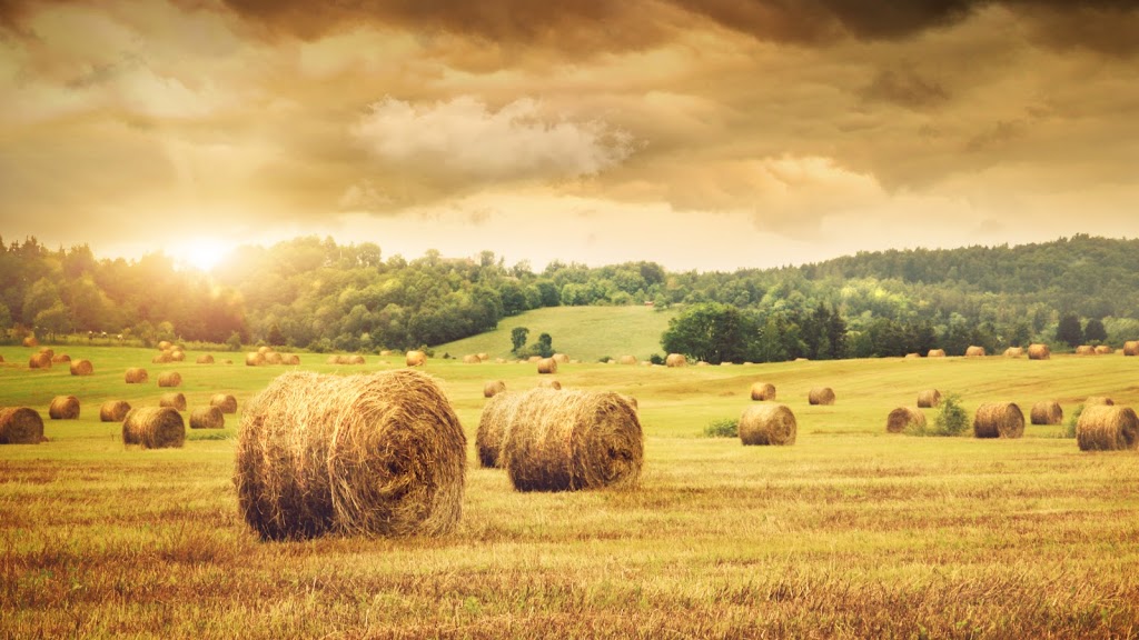 Rovibec Agrisolutions Inc. | 475 Route du Port, Nicolet, QC J3T 1W3, Canada | Phone: (819) 293-5005