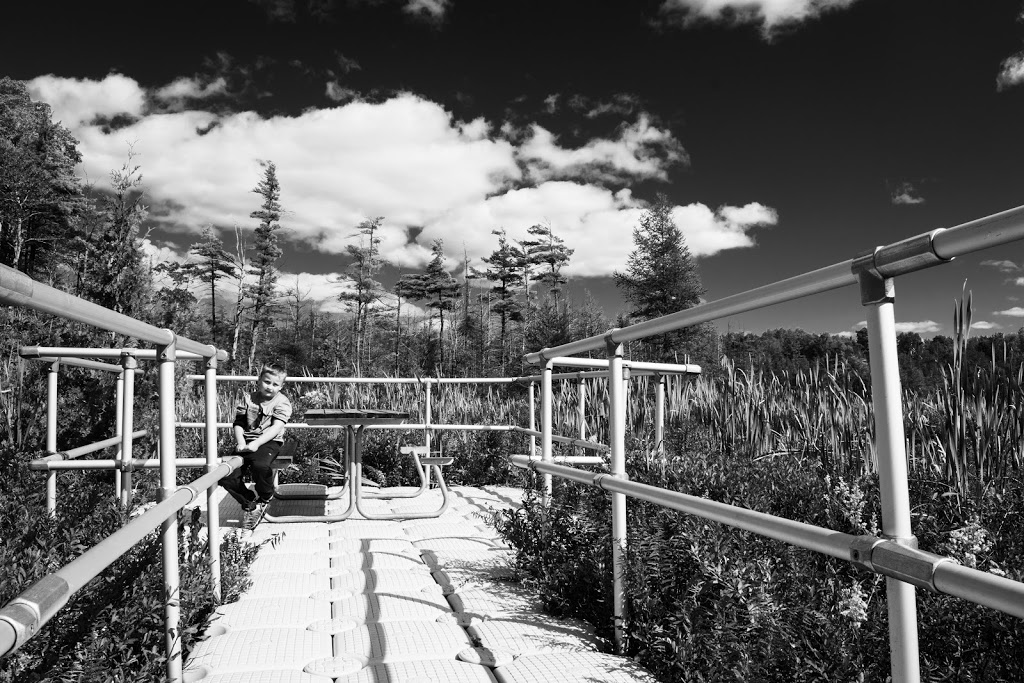 Schmidt Lake Lookout Trail | Schmidt Lake Lookout Trail, Cargill, ON N0G 1J0, Canada | Phone: (519) 367-3040
