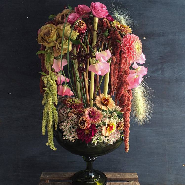 Ardelia Farm & Co. | 3118 W Glover Rd, Irasburg, VT 05845, USA | Phone: (802) 323-4178