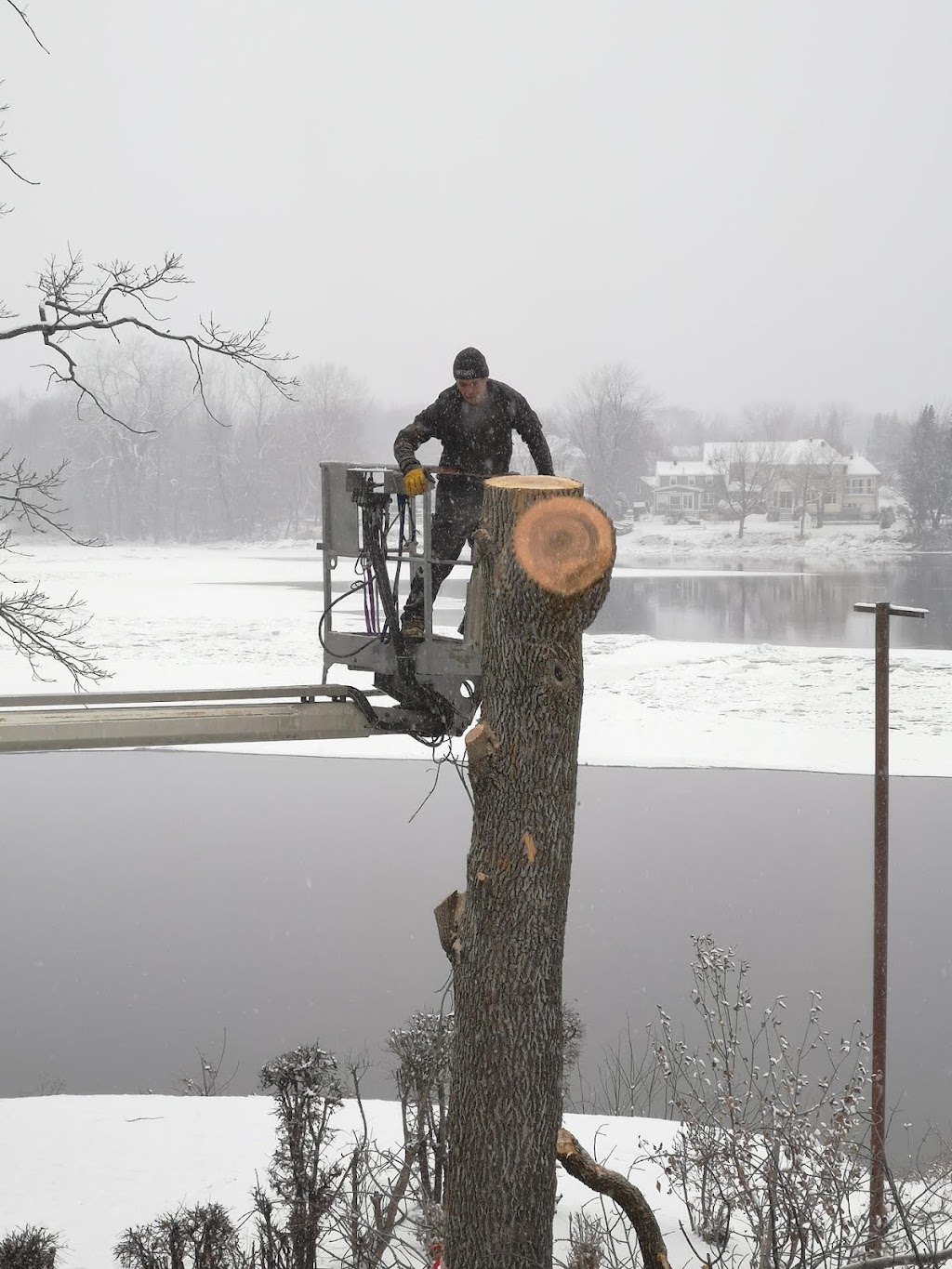 TAS Tree Removal & Pruning | 2343 Pl. des Musiciens, Saint-Lazare, QC J7T 3C6, Canada | Phone: (514) 701-2684