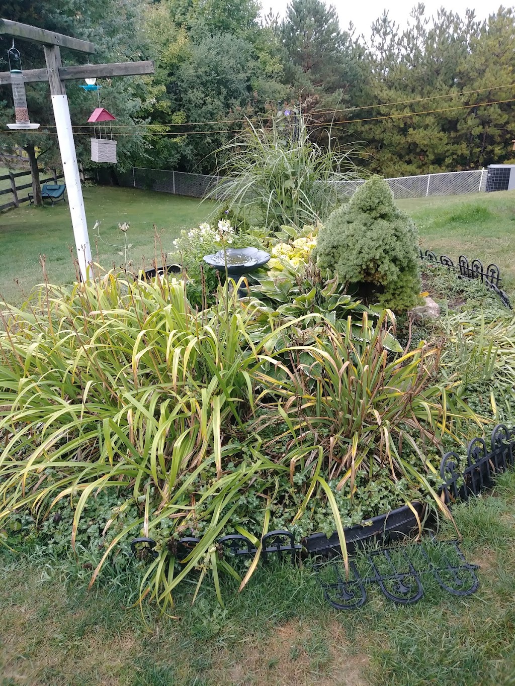 Azure Gardens | 81 Steele St, Alliston, ON L9R 0E5, Canada | Phone: (705) 717-4700