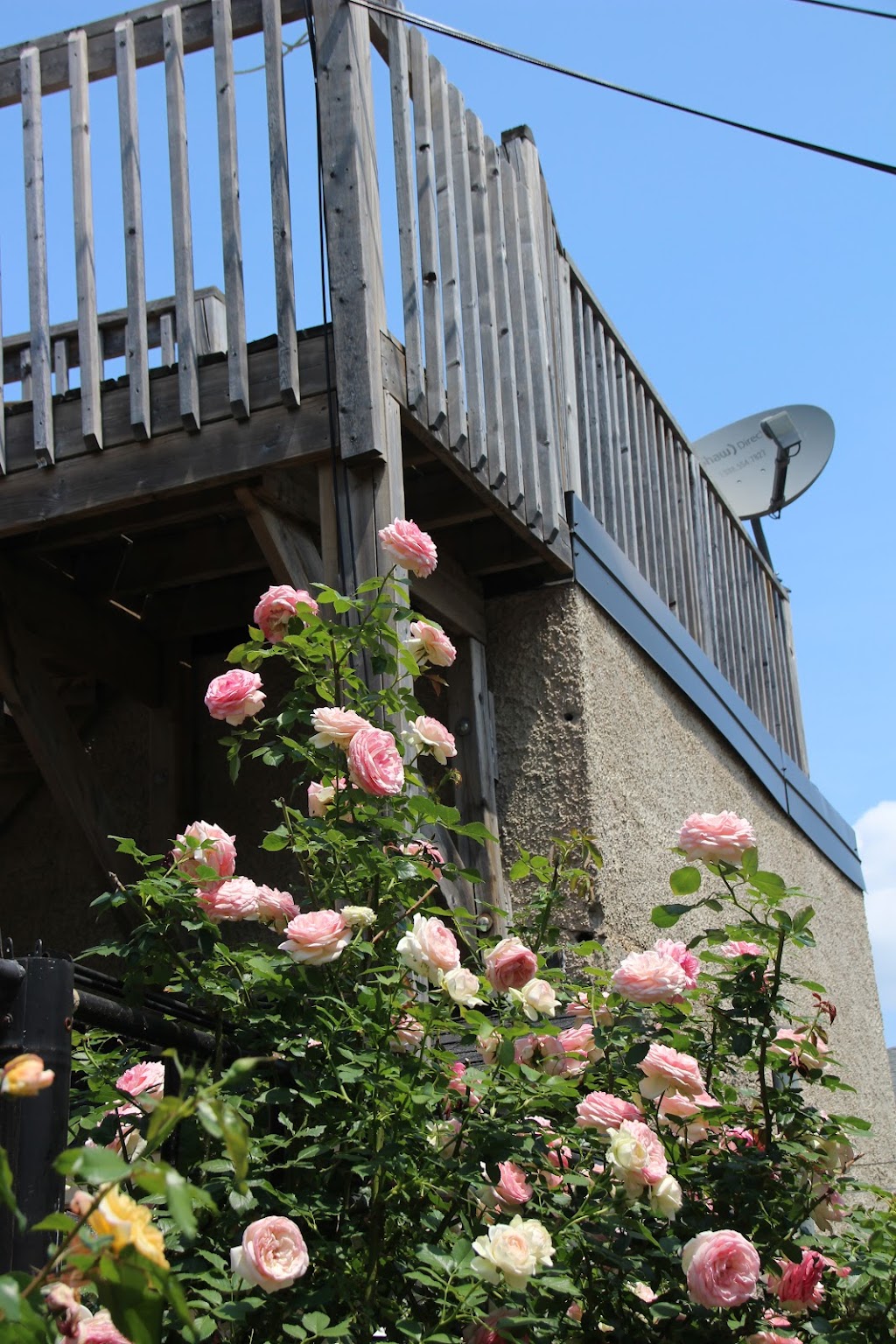 Ambassador Bed & Breakfast | 450 Laurier Ave. E, Ottawa, ON K1R 0A2, Canada | Phone: (613) 890-6022