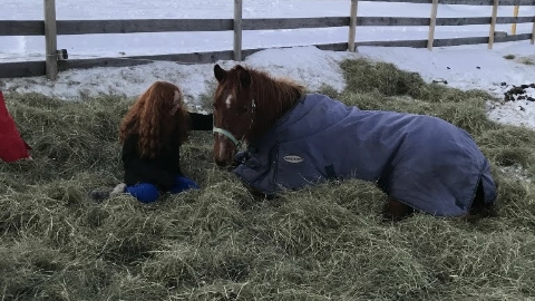 Complete Horsemanship | 5134 Dupuis Dr, Hanmer, ON P3P 0B3, Canada | Phone: (705) 562-0585