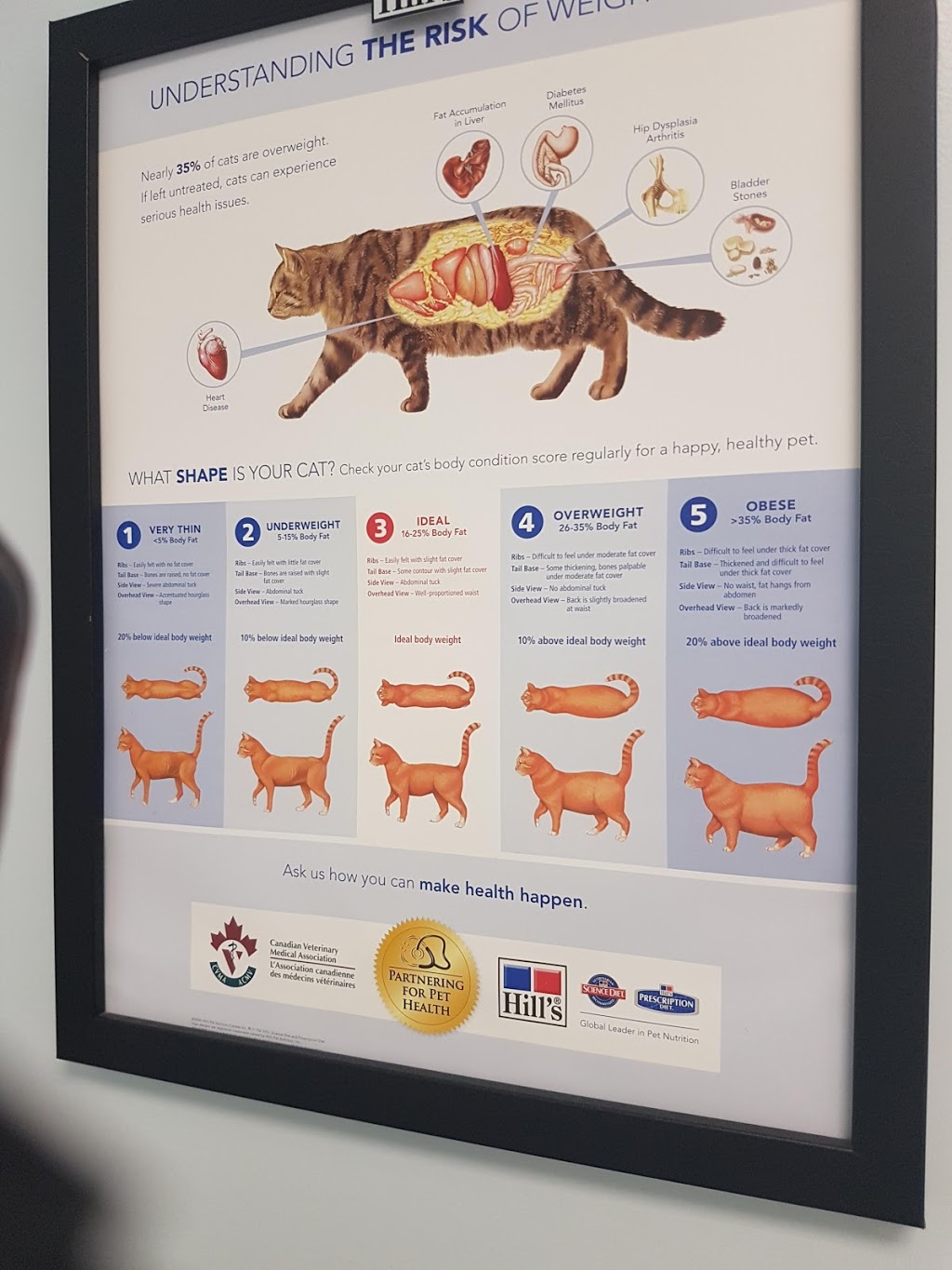 Beaumont Animal Clinic | 4816 50 Ave, Beaumont, AB T4X 1J9, Canada | Phone: (780) 929-6107