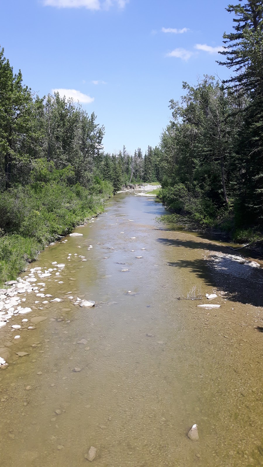 Fish Creek Environmental Learning Center | 15931 Woodpath Rd SW, Calgary, AB T2W 5M1, Canada