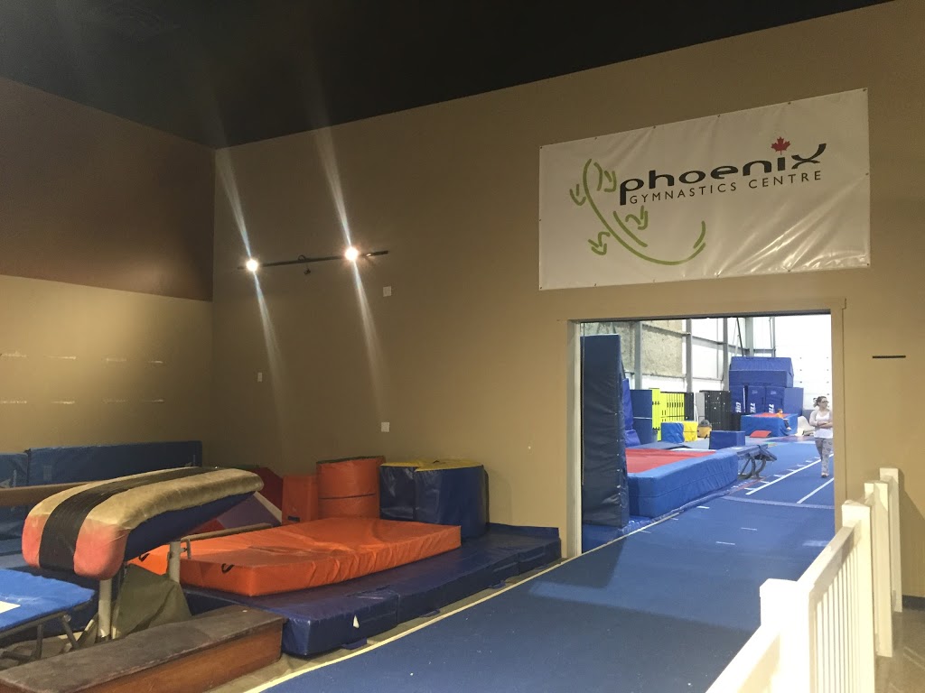 Phoenix Gymnastics Centre | 9704 12 Ave SW, Edmonton, AB T6X 0J4, Canada | Phone: (780) 438-0586