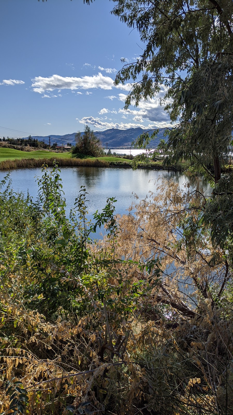 Sonora Dunes Golf Course | 1300 Rancher Creek Rd, Osoyoos, BC V0H 1V6, Canada | Phone: (250) 495-4653