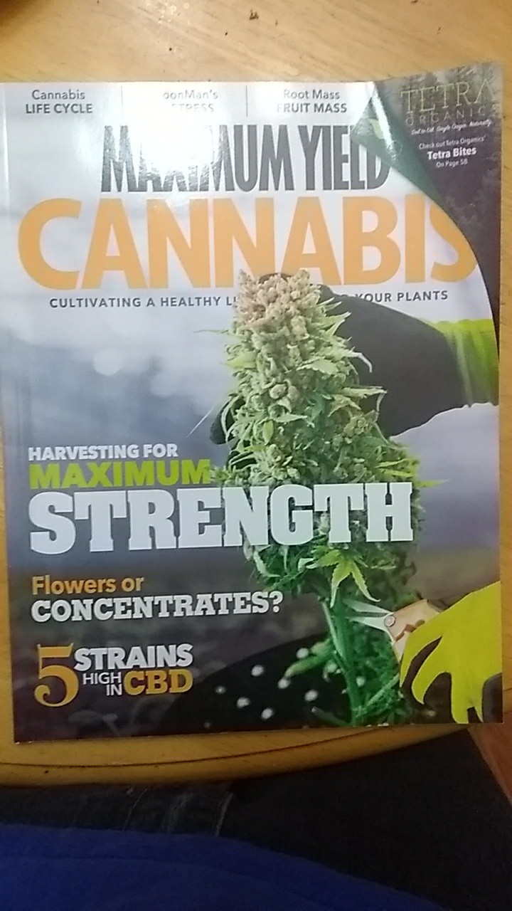 Cannabis NB | 138 Main St, Sussex, NB E4E 3E1, Canada | Phone: (833) 821-2195