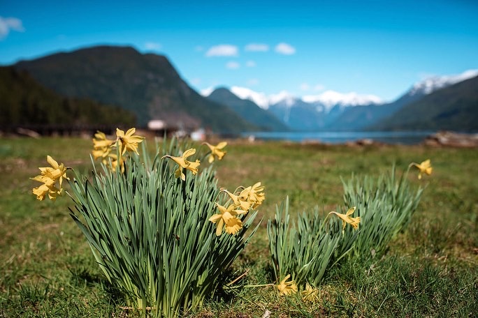 The Cottages at Shoal Bay | Shoal Bay, Thurlow, BC V0P 1B0, Canada | Phone: (250) 287-6818