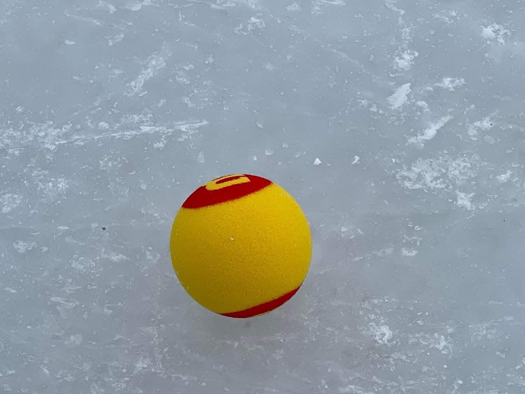 Lynnwood Community Ice Rink | 15525 84 Ave NW, Edmonton, AB T5R 3Y1, Canada | Phone: (780) 484-4893