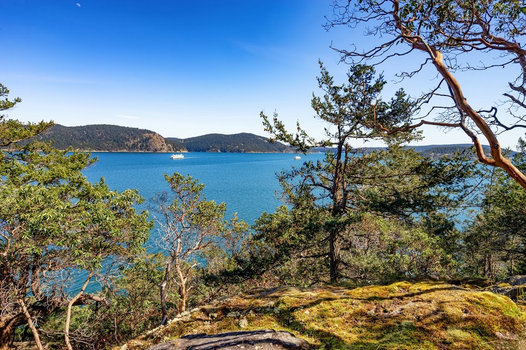 Lopez Village Properties | 265 Lopez Rd ste a, Lopez Island, WA 98261, USA | Phone: (360) 298-9045