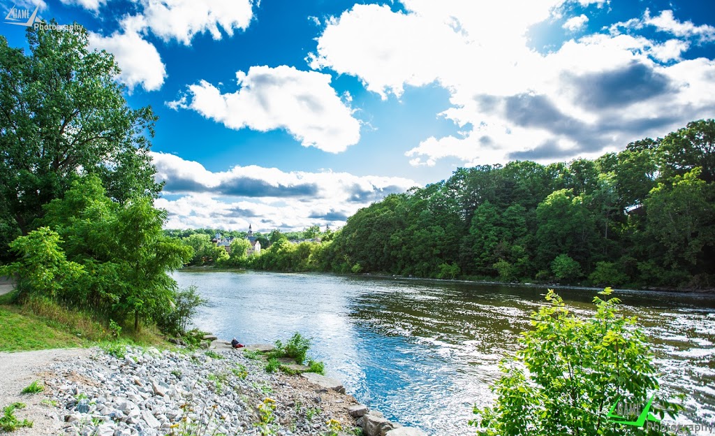 Terry Summerhays - Brantford Real Estate | 515 Park Rd N, Brantford, ON N3R 7K8, Canada | Phone: (519) 802-8770