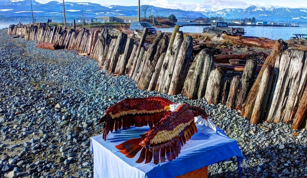 RicksKopter | 7711 Vivian Way, Fanny Bay, BC V0R 1W0, Canada | Phone: (250) 702-4572