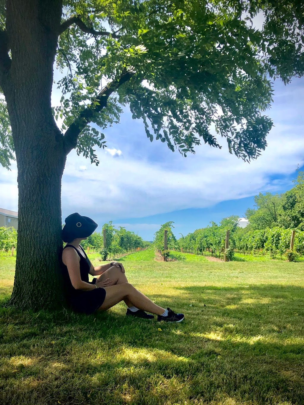Tour de Vine Bike Wine Tours | 1490 Niagara Stone Rd, Virgil, ON L0S 1T0, Canada | Phone: (905) 359-5266