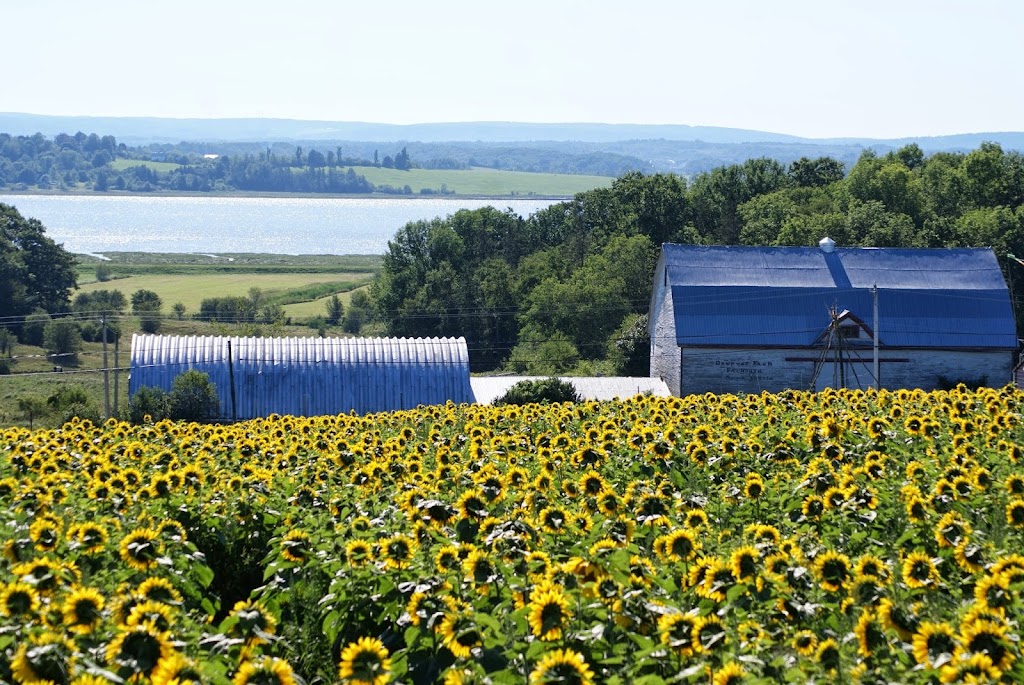 Dakeyne Farm | 1137 Nova Scotia Trunk 1, Falmouth, NS B0P 1L0, Canada | Phone: (902) 790-0542