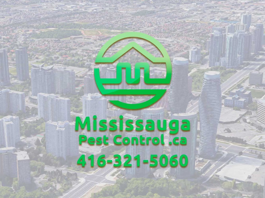 Mississauga Pest Control | 4712 Colombo Crescent, Mississauga, ON L5M 7R4, Canada | Phone: (416) 321-5060