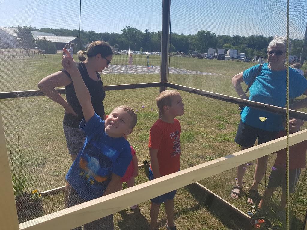 Wagon Wheel Produce & Corn Maze | 1371 Charlotteville Rd 7, Simcoe, ON N3Y 4K5, Canada | Phone: (519) 429-3443