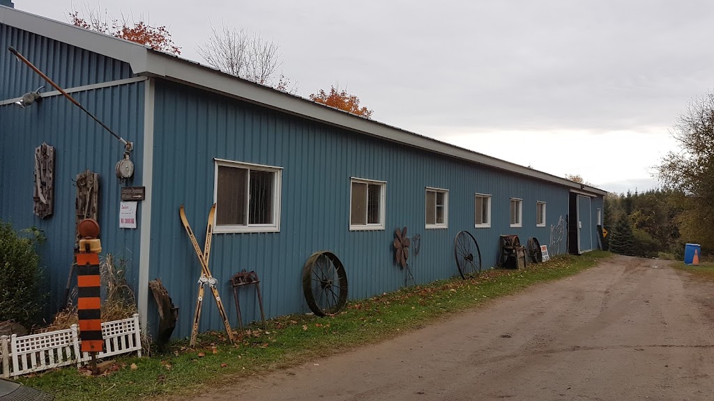Ridges of the Moraine Stables | 1216 Concession Rd 4, Loretto, ON L0G 1L0, Canada | Phone: (519) 941-4674