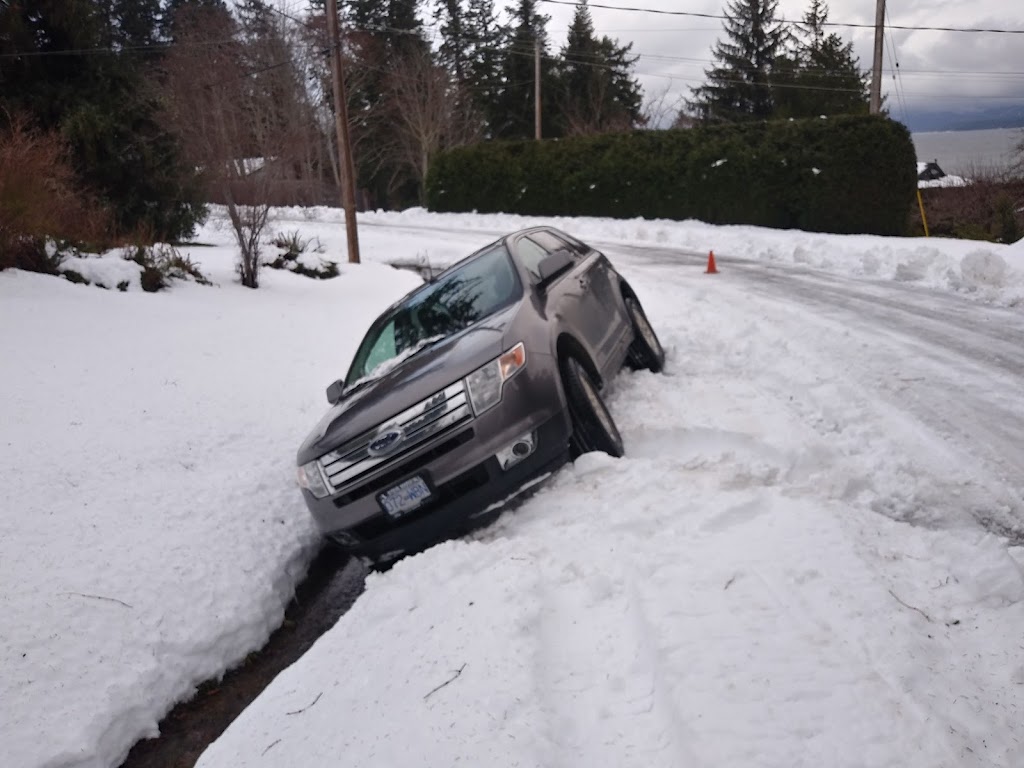 Roadkill Recovery | 684 Plaza Rd, Quathiaski Cove, BC V0P 1N0, Canada | Phone: (250) 287-1686