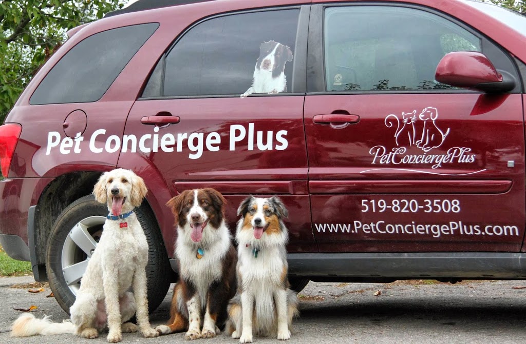 Pet Concierge Plus | 5038 Whitelaw Rd, Guelph, ON N1H 6J3, Canada | Phone: (519) 820-3508