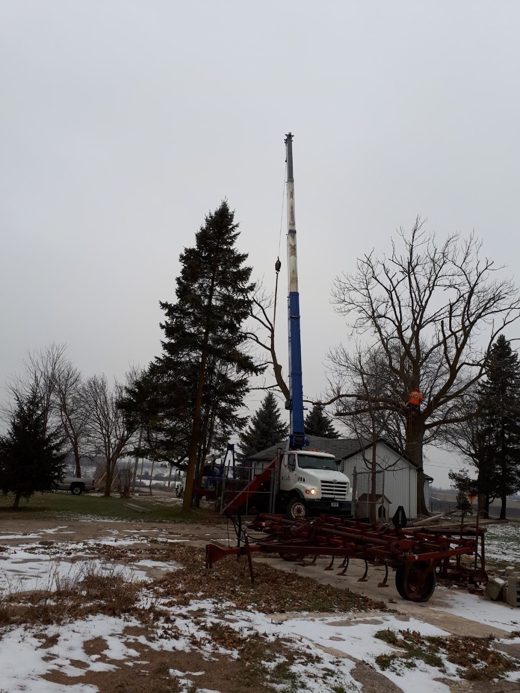 Colonial Tree Service | 36 Armstrong Ave, Georgetown, ON L7G 4R9, Canada | Phone: (905) 877-8591