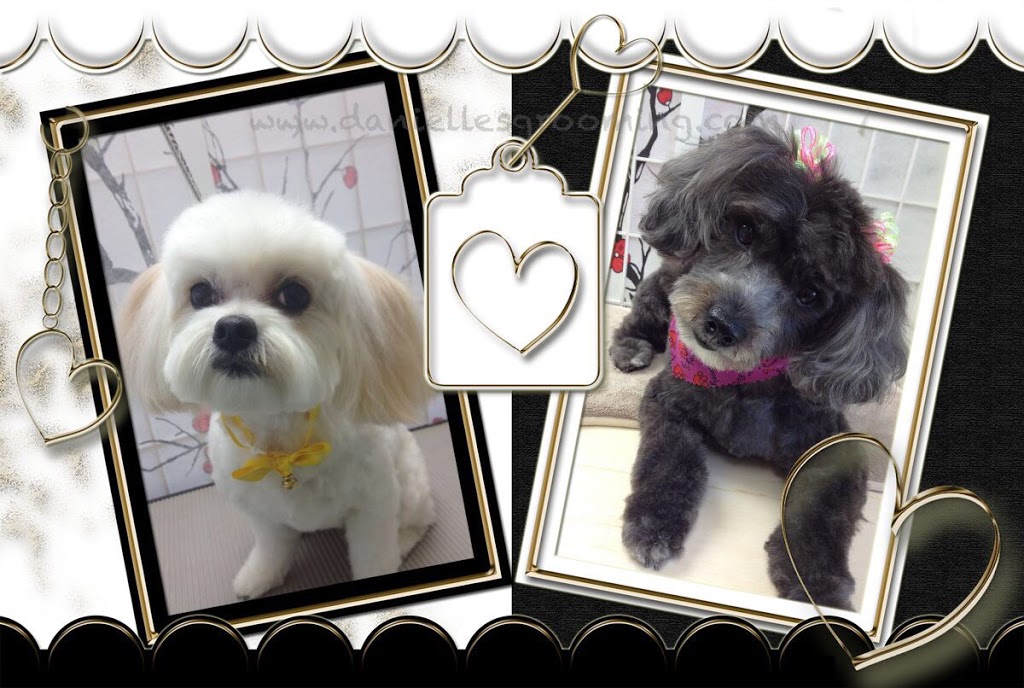 Danielles Dog Grooming Studio | 36675 Dawson Rd, Abbotsford, BC V3G 2L1, Canada | Phone: (604) 996-1213