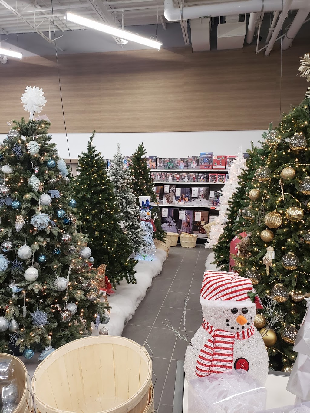 Canadian Tire | 119 Osler Dr, Dundas, ON L9H 6X4, Canada | Phone: (905) 627-3533