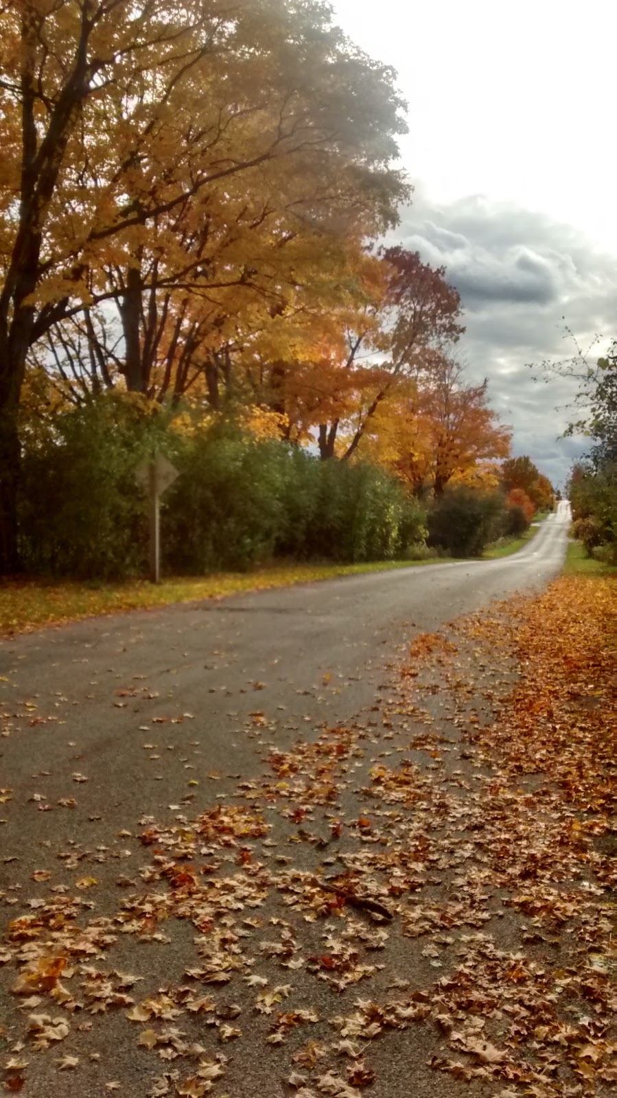 Hiking Trail Entrance | 8000 Conservation Rd #7732, Guelph, ON N1H 6J1, Canada