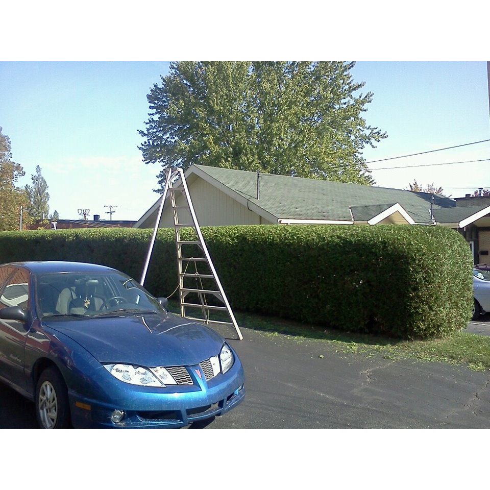 Patrick Robidas Professional Cedar Trimming | 349 Rue Hébert, Sherbrooke, QC J1N 3L7, Canada | Phone: (819) 674-5806